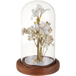 1 Pc Glass Display Dome Cloche, 4.49x5.2 Inch Cloche Bell Jar Terrarium with Cork Base Decorative Display Dome Case for Plants Flower Christmas Display Decoration, Clear