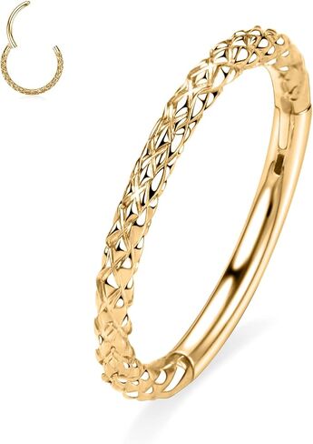 FUNLMO Hinged Nose Ring Hoop Septum Ring Tragus Helix Rook Conch Daith Piercing Jewelry 316L Surgical Steel Cartilage Hoop Earring in Saudi Arabia