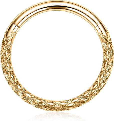 FUNLMO Hinged Nose Ring Hoop Septum Ring Tragus Helix Rook Conch Daith Piercing Jewelry 316L Surgical Steel Cartilage Hoop Earring in Saudi Arabia