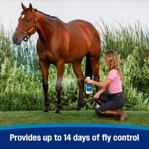 Farnam Endure Sweat-Resistant Horse Fly Spray, Kills, Repels, Protects, 32 Ounces, Quart Spray in Kuwait