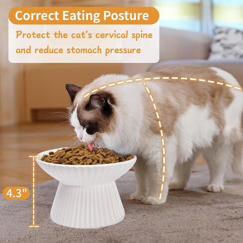 6.5" Extra Wide Ceramic Elevated Cat Bowl, Whisker Friendly Raised Cat Food Bowl for Food and Water, Anti-Vomiting High Cat Dish for Indoor Cats with Non-Slip Ring, Dishwasher Safe & Microwaveable in Kuwait