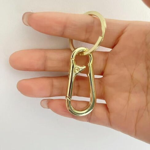 8Pcs Metal Keychains Keyring Key Chain Ring Carabiner Clips Holder Keychain Clip Organizer for Home Car Keys Key Finder Purse Charm Lanyard Hook Men Women Gold in Kuwait