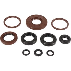 vertex محرك زيت أكياس 822383 استبدال Cat Arctic 250 2x4 2006-2009 ، 250 DVX 2006-2008 ، 300 2x4 2011-2016 ، Alterra 300 2017-2018