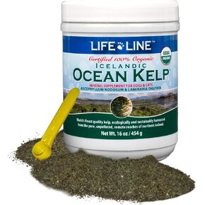 Organic Ocean KELP 16 OZ Canister