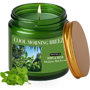 Eucalyptus & Mint Scented Candles for Home - 4 oz Natural Soy Wax Aromatherapy Jar Candle, 25-Hour Long Lasting Burn, Summer Soothing Candles for Women Men