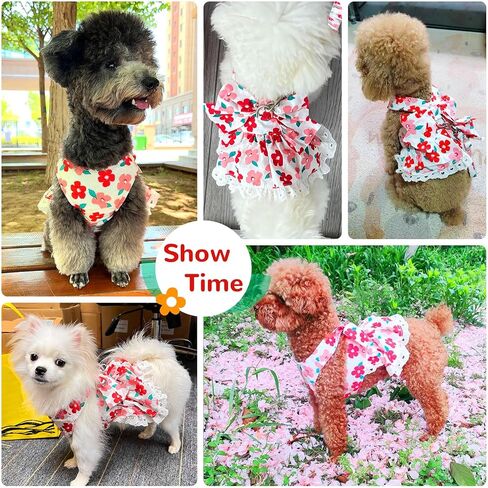 ABRRLO لطيف الأزهار الكلب تسخير اللباس والمقود مجموعة للكلاب الصغيرة القطط فتاة جرو Bowknot الأميرة عيد ميلاد اللباس الصيف الإناث الحيوانات الأليفة كلب صغير الملابس الدانتيل الكلب هريرة ملابس الملابس (الأخضر، L) in Kuwait