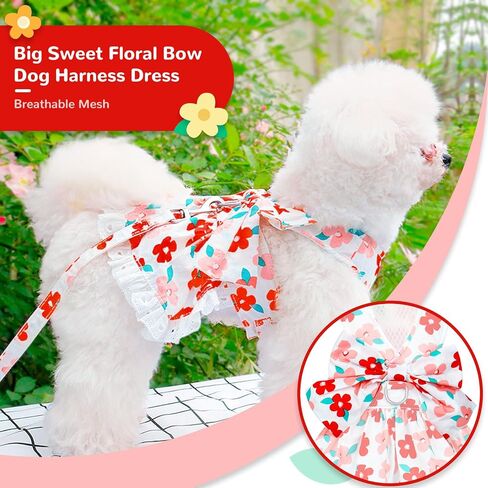 ABRRLO لطيف الأزهار الكلب تسخير اللباس والمقود مجموعة للكلاب الصغيرة القطط فتاة جرو Bowknot الأميرة عيد ميلاد اللباس الصيف الإناث الحيوانات الأليفة كلب صغير الملابس الدانتيل الكلب هريرة ملابس الملابس (الأخضر، L) in Kuwait