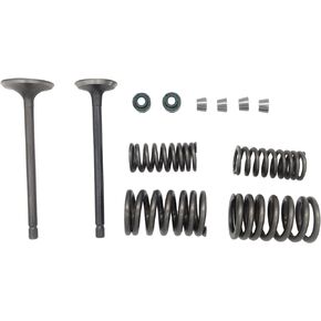 Cylinder Head Intake Exhaust Valve Kit Compatible with Honda XR200 XR200R 1980-1991 ATC200X