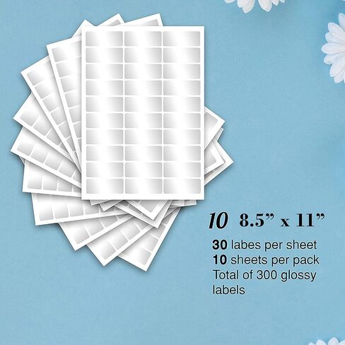 Performore Glossy Crystal Clear Address Labels for Laser Printer, 1X2.5 Inch Self Adhesive, 30 Labels per Sheet, 10 Letter Sheets Size Included, 300 Labels, Transparent Printable Rectangle in Saudi Arabia