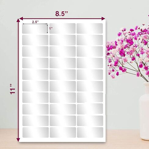 Performore Glossy Crystal Clear Address Labels for Laser Printer, 1X2.5 Inch Self Adhesive, 30 Labels per Sheet, 10 Letter Sheets Size Included, 300 Labels, Transparent Printable Rectangle in Saudi Arabia