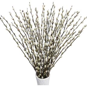 40Stems Real Dried Pussywillow Branches for Vases 17IN Natural Pussywillows with White Dried Flowers for Memorial Day Flowers Wedding Home Party Hotel Fireplace Decor