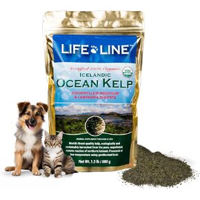 Organic Ocean KELP 1.5 LB