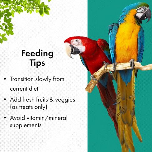 RoudyBush Daily Maintenance Bird Food, Small, 25-Pound (225SMDM) in Kuwait
