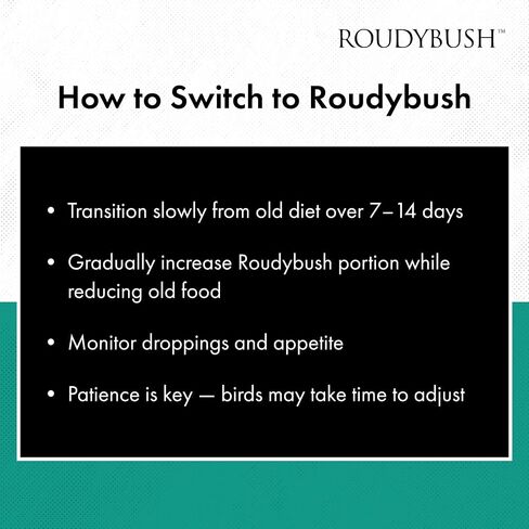 RoudyBush Daily Maintenance Bird Food, Small, 25-Pound (225SMDM) in Kuwait