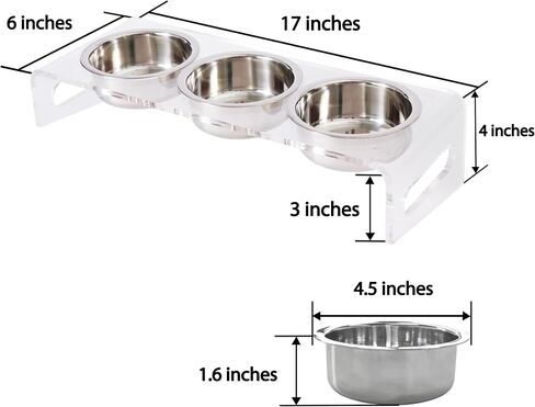 Tilted Raised Elevated Food and Water Bowls Stand for Cat or Small Dogs - Puppy's Clear Acrylic Stainless Steel Dishes Holder for Boy or Girl Pet,Modern,Durable and Easy to Clean by WBhonghui (Black) in Saudi Arabia