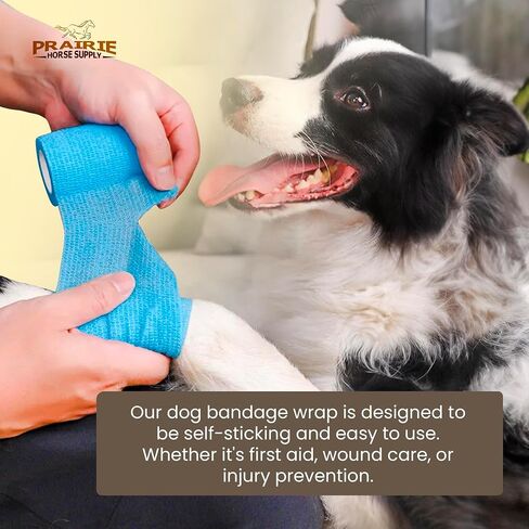 Prairie Horse Supply Vet Wrap Tape Bulk (Assorted Camo Colors) (6 Pack) (4 Inches Wide) Vet Wrap Medical First Aid Tape Self Adhesive Adherent for Ankle Wrist Sprains and Swelling in Saudi Arabia