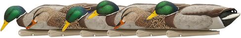 أفخاخ صيد عائمة متينة للغاية وواقعية للغاية من Avian-X Topflight Backwater Mallards، عبوة من 6 قطع، AVX8070 in Saudi Arabia