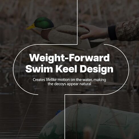 أفخاخ صيد عائمة متينة للغاية وواقعية للغاية من Avian-X Topflight Backwater Mallards، عبوة من 6 قطع، AVX8070 in Saudi Arabia