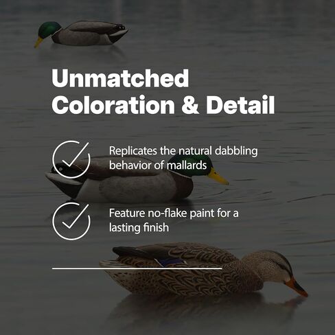 أفخاخ صيد عائمة متينة للغاية وواقعية للغاية من Avian-X Topflight Backwater Mallards، عبوة من 6 قطع، AVX8070 in Saudi Arabia