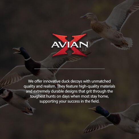 أفخاخ صيد عائمة متينة للغاية وواقعية للغاية من Avian-X Topflight Backwater Mallards، عبوة من 6 قطع، AVX8070 in Saudi Arabia