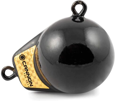 Cannon 2295002 Flash Weight, 4-Pound in Saudi Arabia