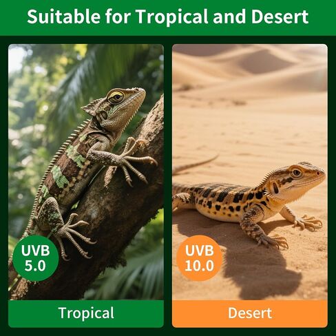 UVA UVB Reptile Light-15W 5.0,Tropical & Sub-Tropical Terrarium Compact Fluorescent Lamp,UVB Reptile Light Bulb for Snake,Chameleons,Iguanas in Saudi Arabia