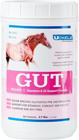 مكمل Uckle Gut Pellets للحصان - مكمل فيتامينات ومعادن للخيول من أجل الهضم الصحي - 2.7 رطل (رطل) in Kuwait