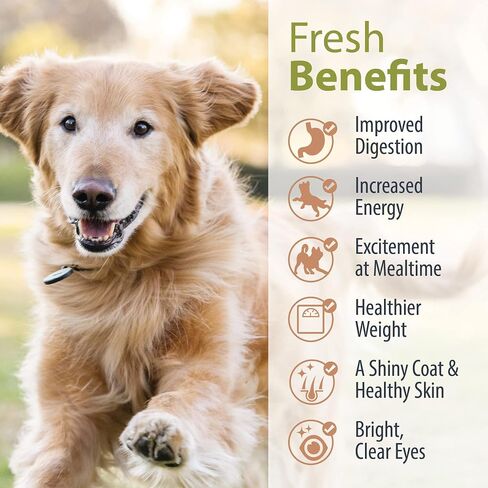 JustFoodForDogs Frozen Fresh Vegan Dog Food, Plant-Based, Complete Meal or Dog Food Topper, Tofu & Quinoa,18 oz (Pack of 7) in Kuwait