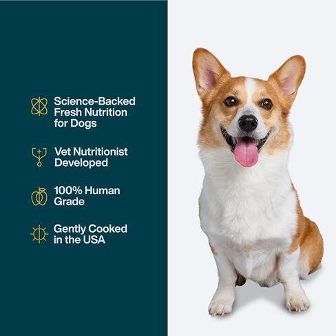 JustFoodForDogs Frozen Fresh Vegan Dog Food, Plant-Based, Complete Meal or Dog Food Topper, Tofu & Quinoa,18 oz (Pack of 7) in Kuwait