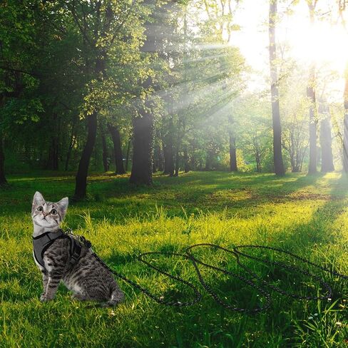 Reflective Cat Leash -50FT Cat Cable Out Escape Proof Walking Leads Yard Long Durable Safe Personalized Extender Leash Traning Play Outdoor for Puppies/Kittens/Rabbits/Small Animals in Kuwait