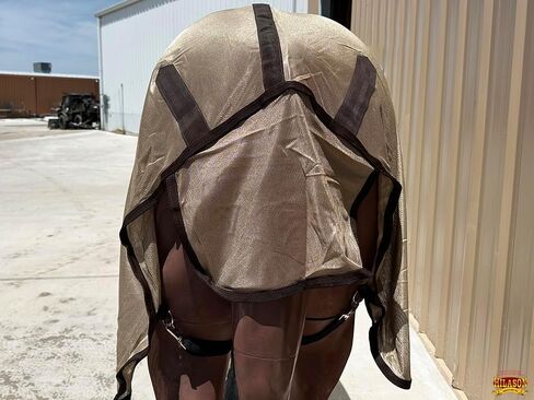 HILASON 78 Inches Horse Fly Sheet With Neck Cover Ultra Violet Rays Protect Mesh Bug Mosquito Summer Spring | Fly Sheet | Horse Turnout Sheet | Fly Sheet for Horses | Bug and Mosquito Protection | Fly in Kuwait