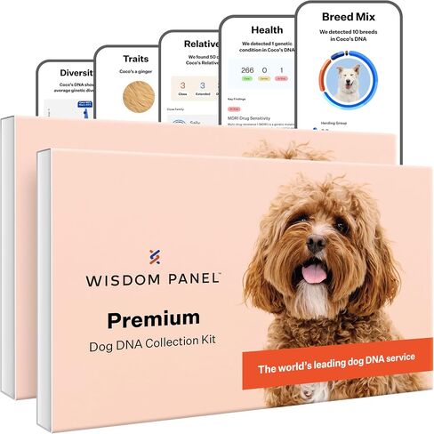 Wisdom Panel Premium Dog DNA Test, 265+ Health Tests, 430+ Breeds in Saudi Arabia