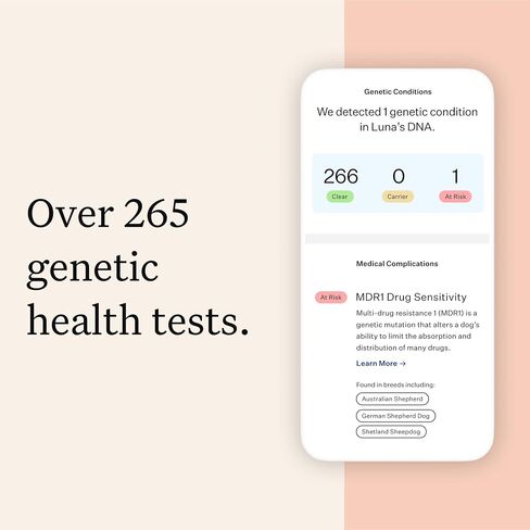 Wisdom Panel Premium Dog DNA Test, 265+ Health Tests, 430+ Breeds in Saudi Arabia