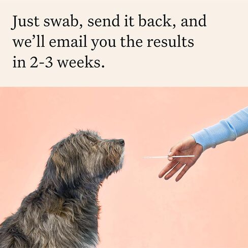 Wisdom Panel Premium Dog DNA Test, 265+ Health Tests, 430+ Breeds in Saudi Arabia