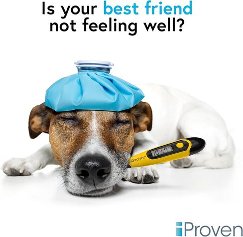 iProven Pet Thermometer (Termometro) for Accurate Fever Detection, Suitable for Cats/Dogs, Waterproof Pet Thermometer, Fast and Accurate Measurements in 20 Seconds - DT-K117 in Kuwait
