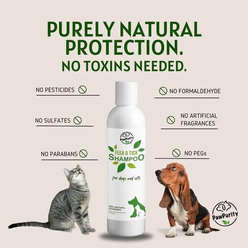 شامبو PawPurity للبراغيث/القراد، مكونات نباتية طبيعية ومعدنية فقط، يحسن صحة جلد ومعطف الكلاب والقطط، رائحة الحمضيات، منتج صديق للبيئة وتغليف مصنوع في الولايات المتحدة الأمريكية (8 أونصة) in Kuwait