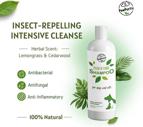 شامبو PawPurity للبراغيث/القراد، مكونات نباتية طبيعية ومعدنية فقط، يحسن صحة جلد ومعطف الكلاب والقطط، رائحة الحمضيات، منتج صديق للبيئة وتغليف مصنوع في الولايات المتحدة الأمريكية (8 أونصة) in Kuwait