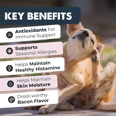 Mighty Paw Waggables Mighty Omega (Made in The USA) | Omega 3 Fish Oil Chew for Dogs. Salmon Oil for Dogs Skin and Coat Supplement. Soft Chew Fish Oil for Dogs - DHA & EPA, Bacon Flavor (120 Count) in Kuwait