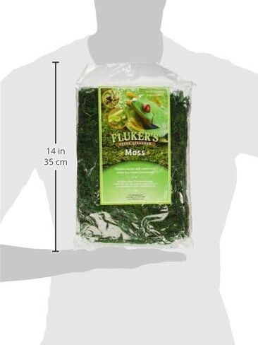 Small Animal Supplies Repta - Moss 8Qt (Large) in Saudi Arabia
