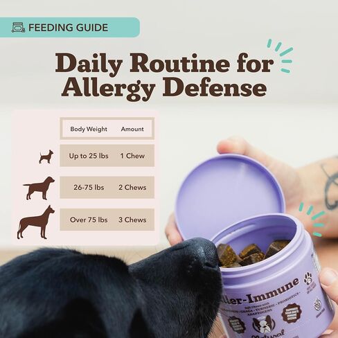Natural Dog Company Probiotic Chews (90 Bites), Chicken Flavor, Helps with Digestion, Supports Immune System, Probiotics Supplement for Dogs of All Ages, Sizes & Breeds. in Kuwait