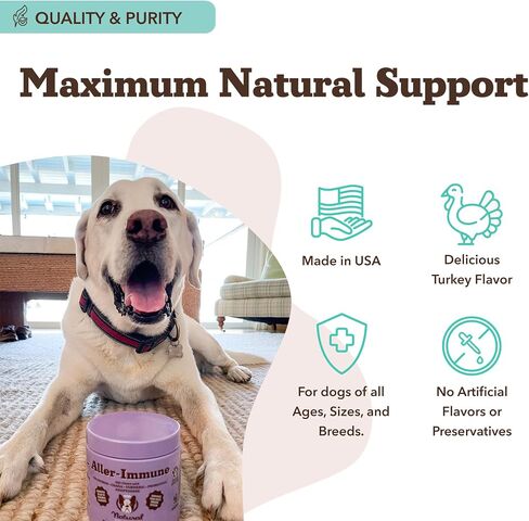 Natural Dog Company Probiotic Chews (90 Bites), Chicken Flavor, Helps with Digestion, Supports Immune System, Probiotics Supplement for Dogs of All Ages, Sizes & Breeds. in Kuwait