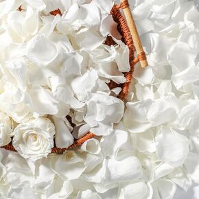 Real Dried Ivory White Rose Petals, Frozen Preserved Petals for, Wedding Party Decorations, Bio Confetti, Rose Flower Girl, Table Centerpieces, Bridal Shower, 1.58 oz / 45 g