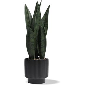 نباتات اصطناعية Sansevieria Snake Plant مع مكتب سوداء من السيراميك مصنع مزيف صغير لغرفة المعيشة الداخلية المطبخ الحمام مزرعة المنزل ديكور المنزل