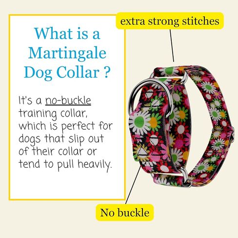 Country Brook Petz - طوق الكلب Potpourri Martingale - مجموعة الأزهار مع 6 تصاميم ساحرة (1 1/2 بوصة، متوسط) in Kuwait