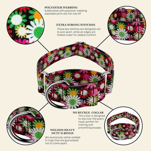 Country Brook Petz - طوق الكلب Potpourri Martingale - مجموعة الأزهار مع 6 تصاميم ساحرة (1 1/2 بوصة، متوسط) in Kuwait