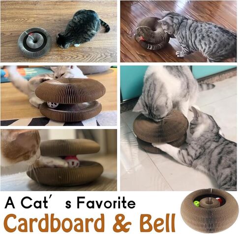 Dosanlues ﻿Cat Ball Toy, Foldable Cat Ball Track with 2 Cat Bell Balls, Magic Organ Cat Scratching Board Cat Toy for Indoor Cats Exercise, Cat Scratcher in Kuwait