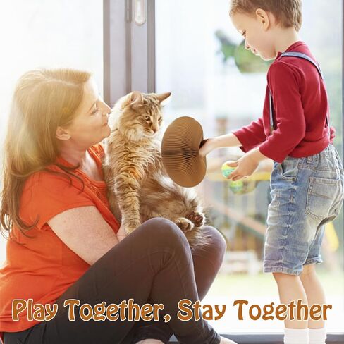 Dosanlues ﻿Cat Ball Toy, Foldable Cat Ball Track with 2 Cat Bell Balls, Magic Organ Cat Scratching Board Cat Toy for Indoor Cats Exercise, Cat Scratcher in Kuwait