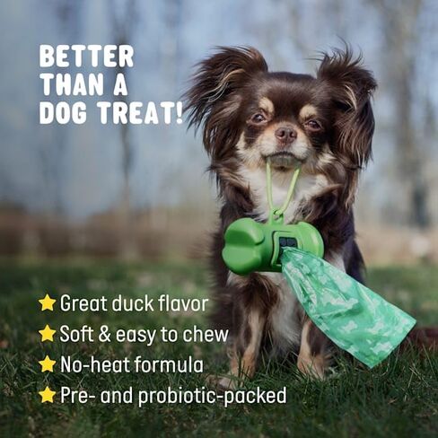 | Pet Probiotics for Dogs | Dog Probiotics and Digestive Enzymes for Dogs Diarrhea, Gut Health for Dogs | Probiotic Chews for Dogs w/Fiber, Puppy probiotic Digestive Health, 120 ct in Saudi Arabia