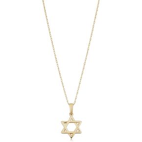 14k Yellow Gold Star of David Pendant Rope Chain Necklace (18 inch)