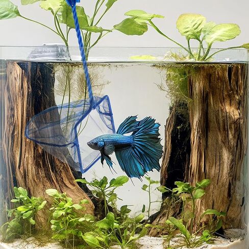 Lpraer 6 بوصة حوض السمك شبكة السمك الأخضر غرامة شبكة شبكة من النايلون مجموعة مع 11 "مقبض طويل مربع الصيد السريع شبكة السمك لخزان الأسماك in Kuwait